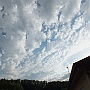Bild (57)